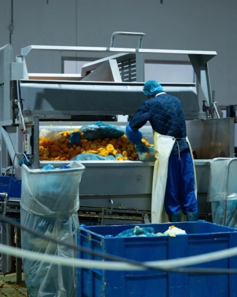 Peel Pioneers - From Citrus Peel Waste to New Ingredients | Waste Alchemists