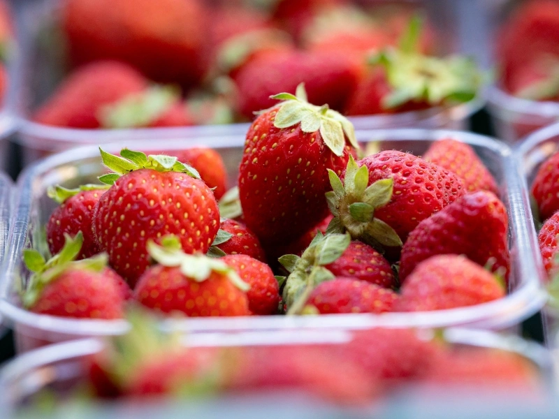 Twisted Jams transforming rescued fruit and vegetables into finished jars | Waste Alchemists