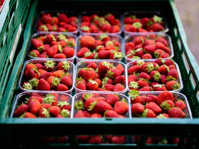 Crates of rescued fruit and vegetables collected by Twisted Jams | Waste Alchemists