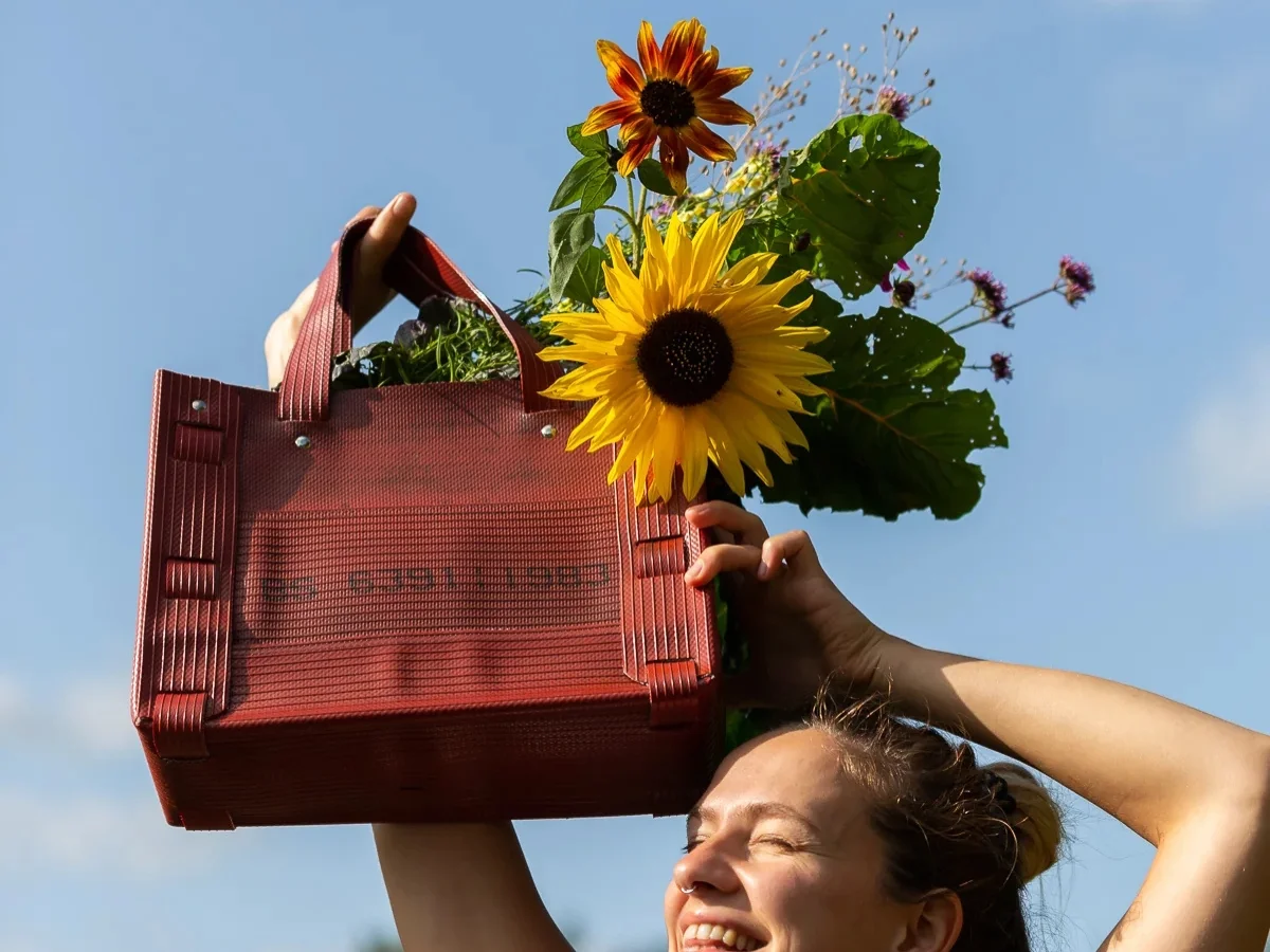 Eversom_workshop_tas3