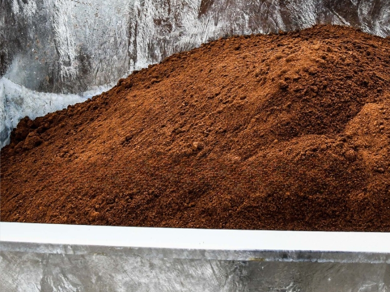 Coffee ground waste by Rotterzwam | Waste Alchemists