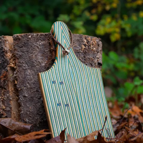 skateboard_serving_plate_skateriors