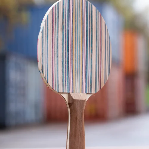 skateboard_tabletennis_skateriors